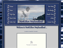 Tablet Screenshot of northshorenewfs.com